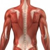 upload/articles/thumbs/140712021057Myofascial pain syndrome mid back.jpg
